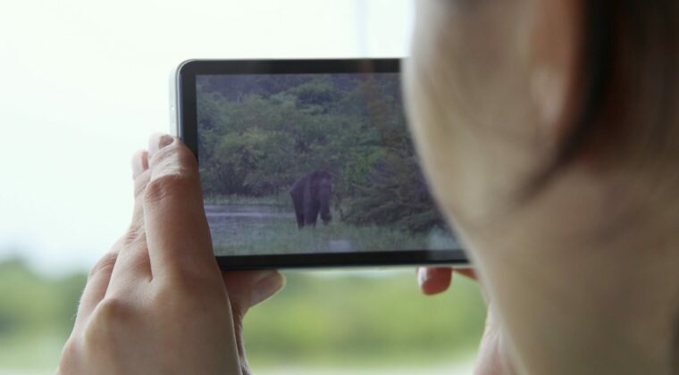 nauka robienia zdjęć